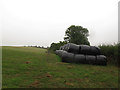 Silage bales in the corner of a field in EX6 7LA