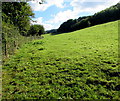 Public footpath through a Hole-in-the-Wall field in HR9 7JW