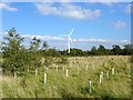 Wind turbine and Sainsbury's Wood in Ravenstone with Snibstone