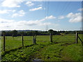 Power lines across a field near Feckenham in B96 6PU