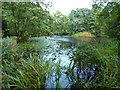 Pool in the grounds of Baddesley Clinton in B94 6LX
