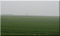Farmland in the mist in PE12 9QB