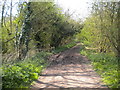 Byway off Greaves Lane west of Wood Farm in NG22 8BN