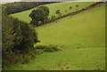 Footpath down the valley in TA24 7UF