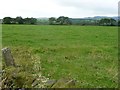 Farmland north of Lea Hill Farm in DE4 5HY