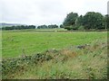 Walled fields off Lickpenny Lane in DE55 6ER