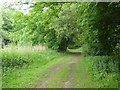 Footpath in the River Lee Country Park at Turnford Brook in EN8 0XB