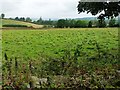 Farmland above Honeybank in DE4 5GF