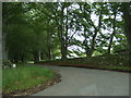 Road junction in Dunecht Estate woods in AB32 7BD