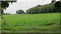 Grazing meadow below Bourton Combe in BS48 3PL