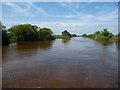 River Ouse, west of Turn Head in YO8 5JZ