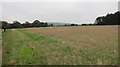 Recently harvested arable crop on the summit of Barrow Hill in BS48 3SR