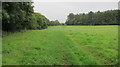 Footpath through grassland on the summit of Barrow Hill in BS48 3SR