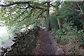 Path leading towards Brockholes in HD9 7TB