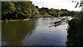 Boats waiting for the Long Distance Sculls race below Sheepwash Bridge in NE62 5PG