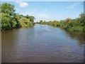 The River Ouse, north of Cawood in YO8 3RT