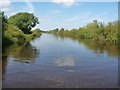 Small cloud reflected in the River Ouse in YO8 3TP