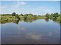 River Ouse at Wharfe's Mouth Ness in YO8 3RT