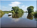 Boat on the River Ouse, passing Wharfe's Mouth in YO8 3TP