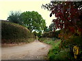 Lane and footpath to Bigglestone, 2016 in HR2 8HX