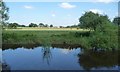 East bank, River Ouse, at Low Acaster Reach in YO23 7BP