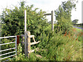 Stile and footpath sign. in DN22 8RP