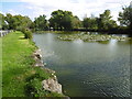 Long Pond on Totteridge Common in EN5 2QD
