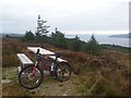 Picnic Table on Unnamed Hill North of Deer Hill in PA28 6SH