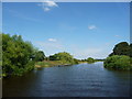 Acaster Marshes Reach, River Ouse in YO23 7BW