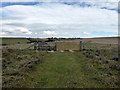 Gate on Flagstaff Brow in BN20 0AX