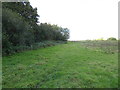 Field boundary with woodland in West Sussex in RH19 3QF