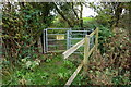 Kissing Gate near Rowthorne in S44 5LS