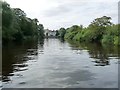 The River Ouse near Bishopthorpe Palace in YO23 2QG