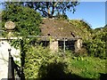 Derelict shed at Norton Court in BS37 6QU