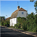 Cherry Hinton: The Old Rosemary Branch in CB1 3JT