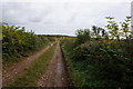 Track leading to Longhedge Lane in S44 5QA