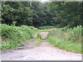 Entrance to Myriewell Wood, Monectt in AB32 6HP