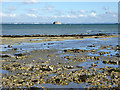 Limestone ledge, Bembridge beach in PO35 5SF