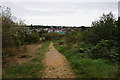 Bridleway at Oxclose Wood in NG19 8DF