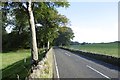 A93, Mains of Mause in PH10 7YB