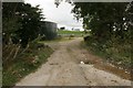 Farm track, Ernmenzie in DG7 2NX