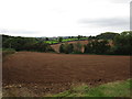 Ploughed fields near Buckenhill Wood in HR7 4WE