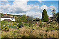 Pixholme Grove Allotments in RH4 1BF