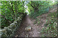 Footpath near old quarry workings in GL54 5AF