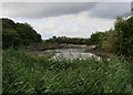 Fishing pit, Gimingham in Gimingham