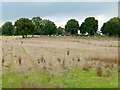 Uncultivated field, Frankley in B31 5SA