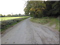 Bridleway on eastern edge of Gore's Wood in RH17 5HN