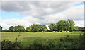 Fields at Randall's Farm in RG40 4HL