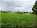 Farmland west of Dowpits Hill in CA16 6SB