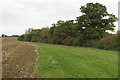 Bridleway towards Silverstone in Lillingstone Dayrell with Luffield Abbey